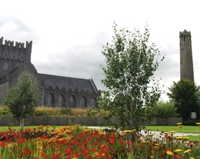 Kildare Town Guided Tours