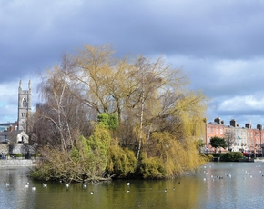 Blessington Street Basin