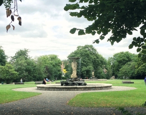 The Iveagh Gardens